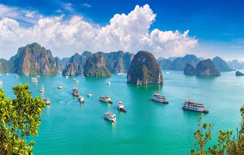 Kinh nghiệm du lịch Hạ Long 2021 tự túc mới nhất, chi tiết nhất