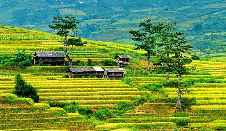 Những địa điểm tham quan đẹp nhất Mù Cang Chải