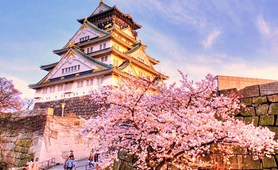 Tour du lịch Osaka - Nara - Kyoto - núi Phũ Sỹ - Tokyo 6 ngày 5 đêm 