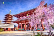 Tour du lịch Nagoya - Osaka - Nara - Kyoto - Núi Phú Sỹ - Tokyo 6 ngày 5 đêm