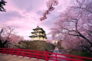 Tour Tokyo - Núi Phú Sỹ - Kawaguchi - Kyoto - Osaka 6 ngày 5 đêm 
