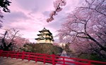 Tour Tokyo - Núi Phú Sỹ - Kawaguchi - Kyoto - Osaka 6 ngày 5 đêm 