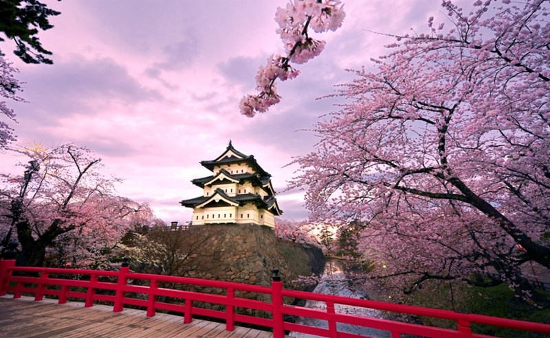Tour Tokyo - Núi Phú Sỹ - Kawaguchi - Kyoto - Osaka 6 ngày 5 đêm 