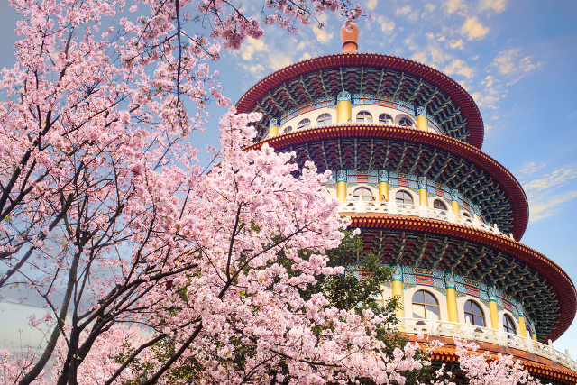 Tour Đài Loan - Hoa Anh đào: Đài Bắc - Đài Trung - Nam Đầu - Cao Hùng