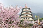 Tour Đài Loan - Hoa Anh đào: Cao Hùng - Đài Trung - Nam Đầu - Đài Bắc
