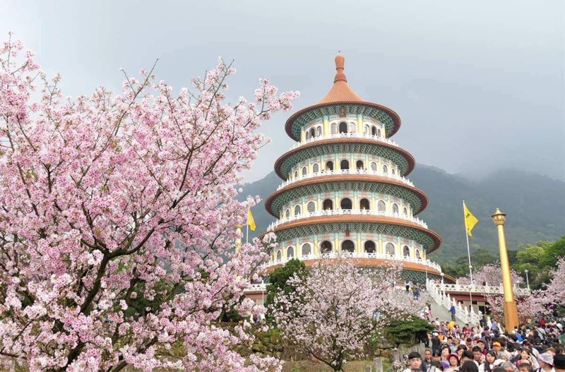 Tour Đài Loan - Hoa Anh đào: Cao Hùng - Đài Trung - Nam Đầu - Đài Bắc