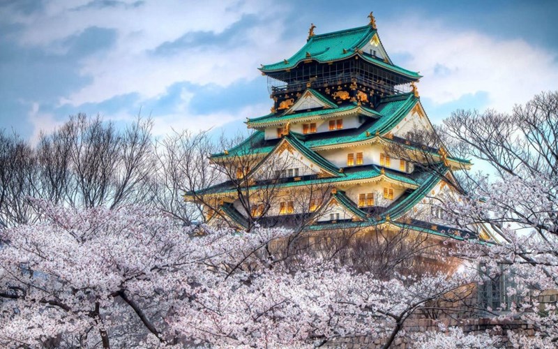 Tour Nhật Bản - Hoa anh đào: Osaka - Nagoya - Kyoto – Núi Phú Sĩ - Tokyo